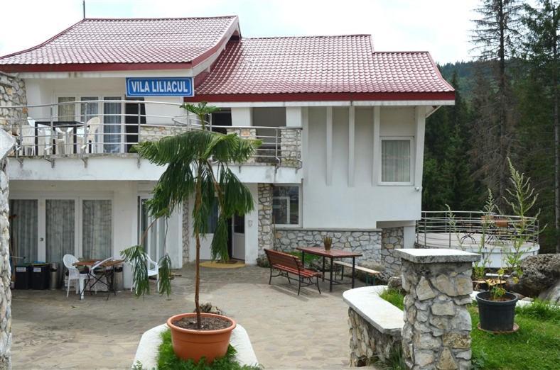 Vila Liliacul สตานา เด วาเล ภายนอก รูปภาพ